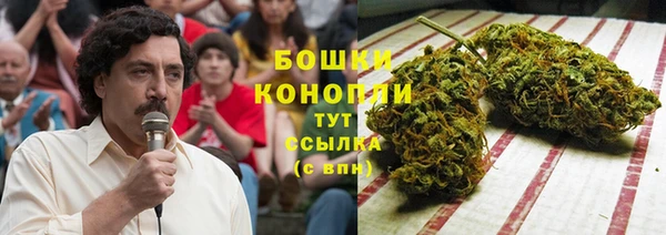 spice Абаза