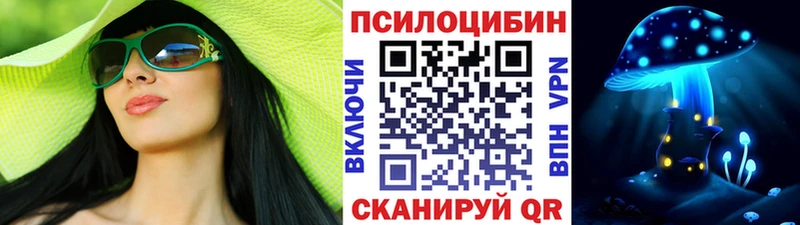 Галлюциногенные грибы Psilocybine cubensis  Нахабино 
